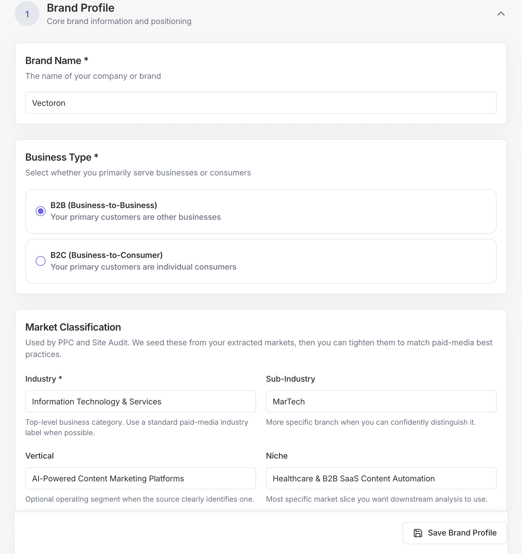 Brand setup surface showing website context and business inputs