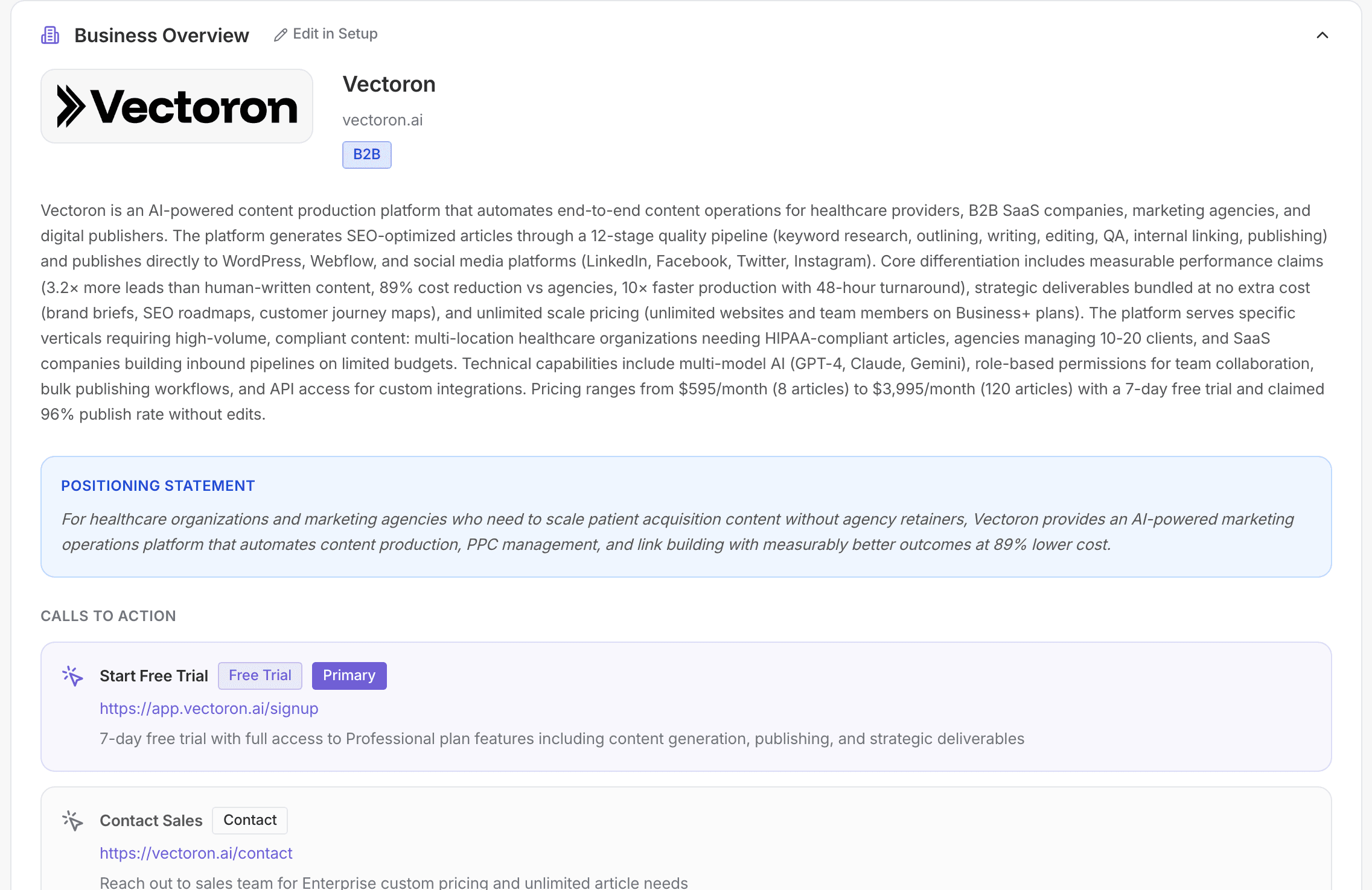 Brand Brief business overview showing company profile, services, and positioning context