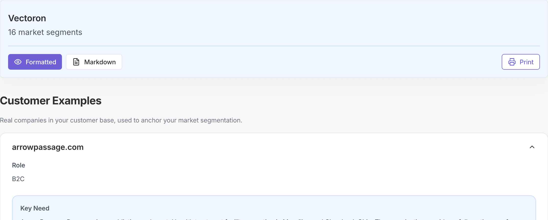 Market Analysis summary showing market segments and formatted output controls