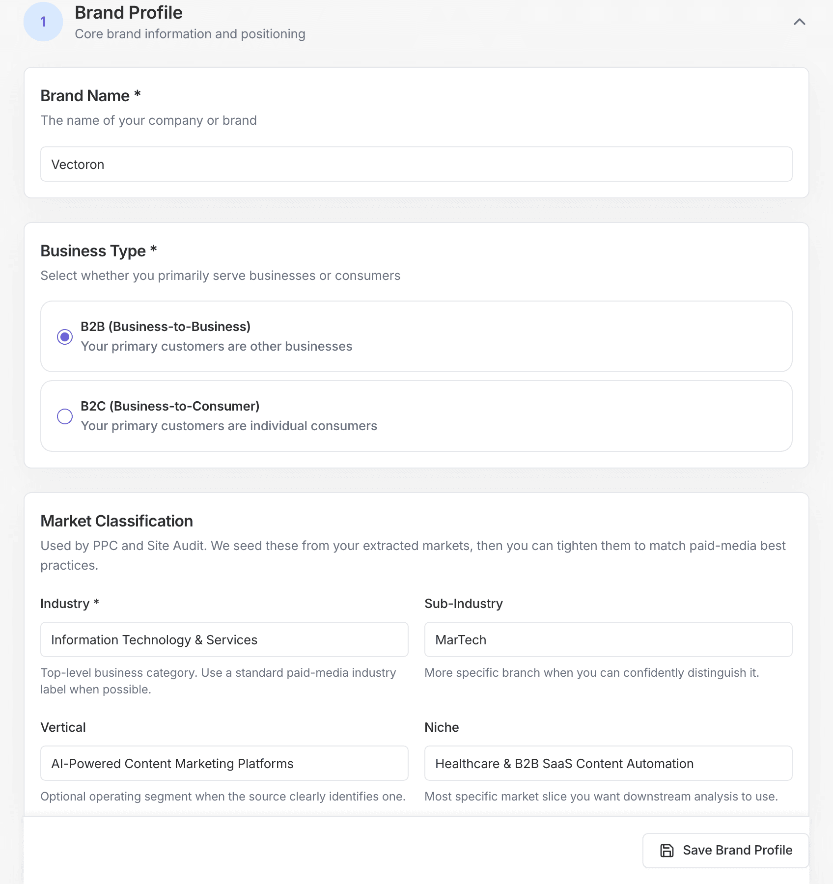 Editable brand profile form with company, business type, and market fields