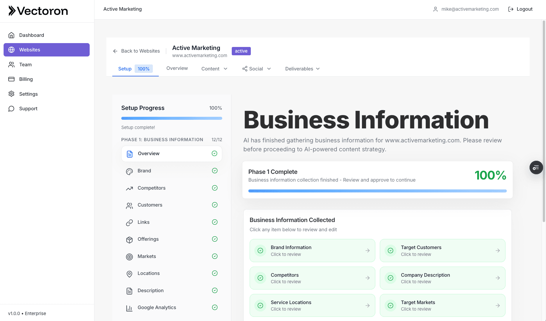 Vectoron website setup and brand extraction interface